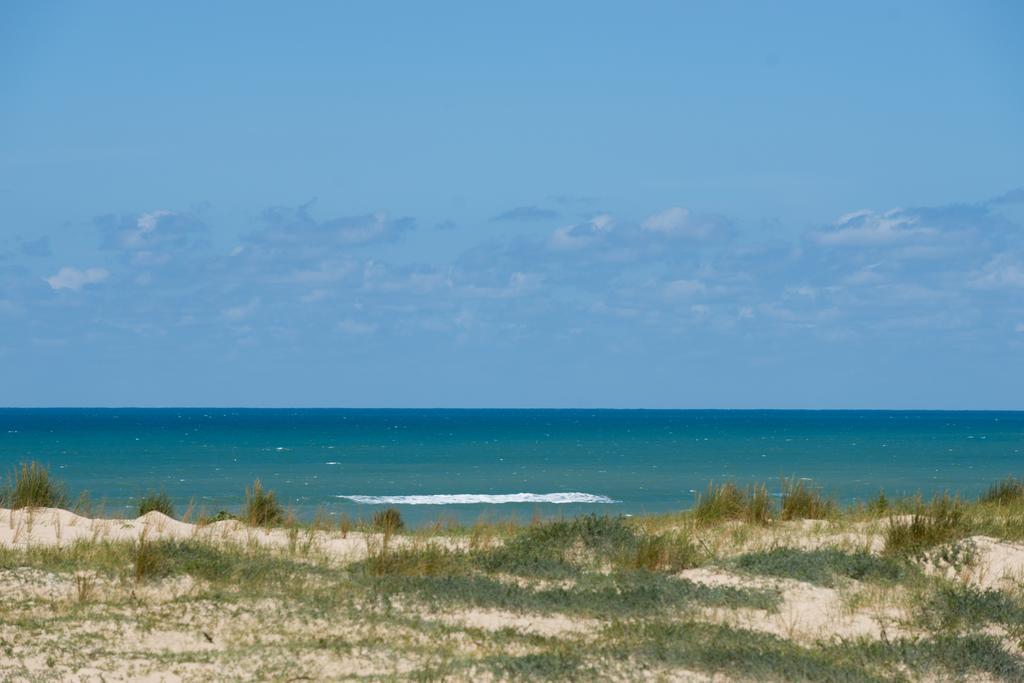 Ferret Vigne - Villa Chambres D'Hotes Lège-Cap-Ferret المظهر الخارجي الصورة