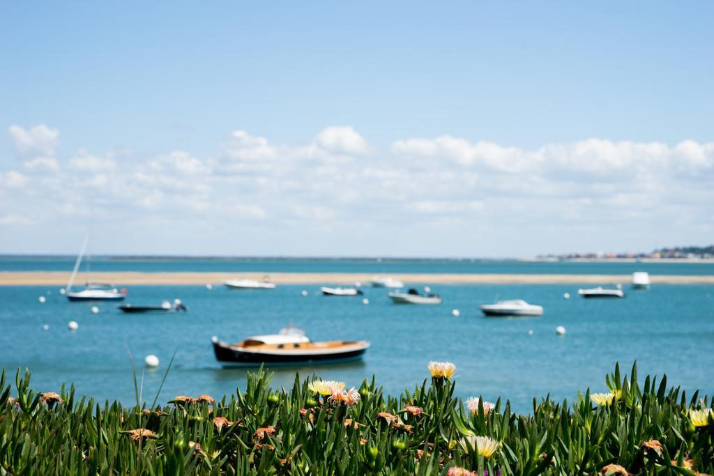 Ferret Vigne - Villa Chambres D'Hotes Lège-Cap-Ferret المظهر الخارجي الصورة