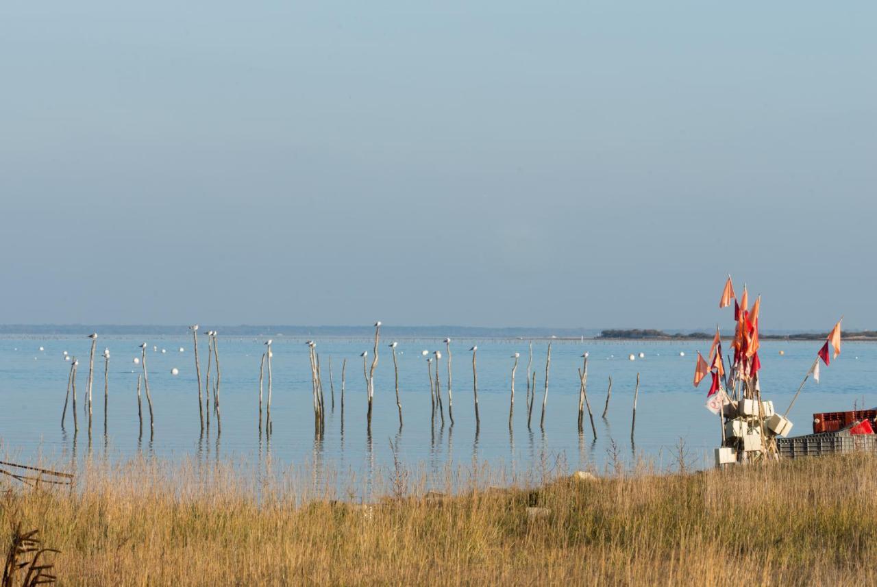 Ferret Vigne - Villa Chambres D'Hotes Lège-Cap-Ferret المظهر الخارجي الصورة